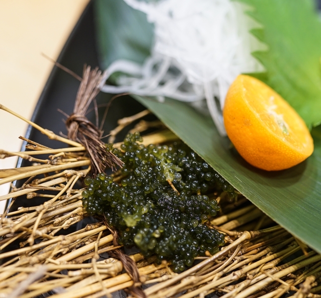 [花蓮市美食推薦]猿羽川料理環島計畫-初嘗北海道時不知鮭魚 花蓮頂級日本料理 每一口都吃的到廚師用心 列為我的花蓮口袋名單