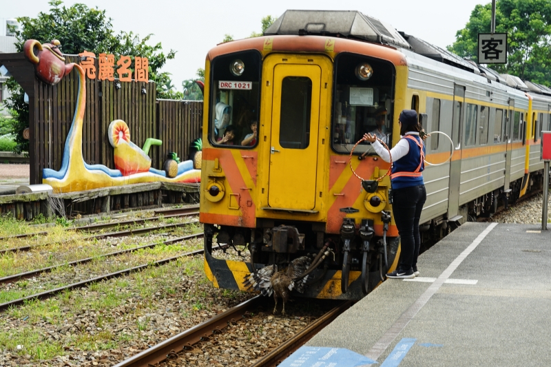 [南投一日遊]原來集集這麼好玩 彩繪車廂 漫遊綠色隧道 添興窯陶藝DIY 復仇者聯盟英雄摺紙也太厲害了吧! 集集一日遊行程