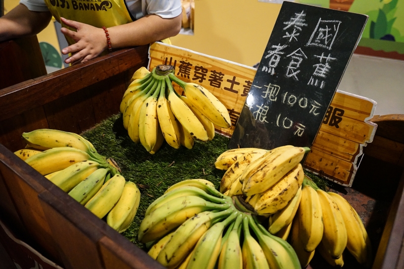 [南投一日遊]原來集集這麼好玩 彩繪車廂 漫遊綠色隧道 添興窯陶藝DIY 復仇者聯盟英雄摺紙也太厲害了吧! 集集一日遊行程