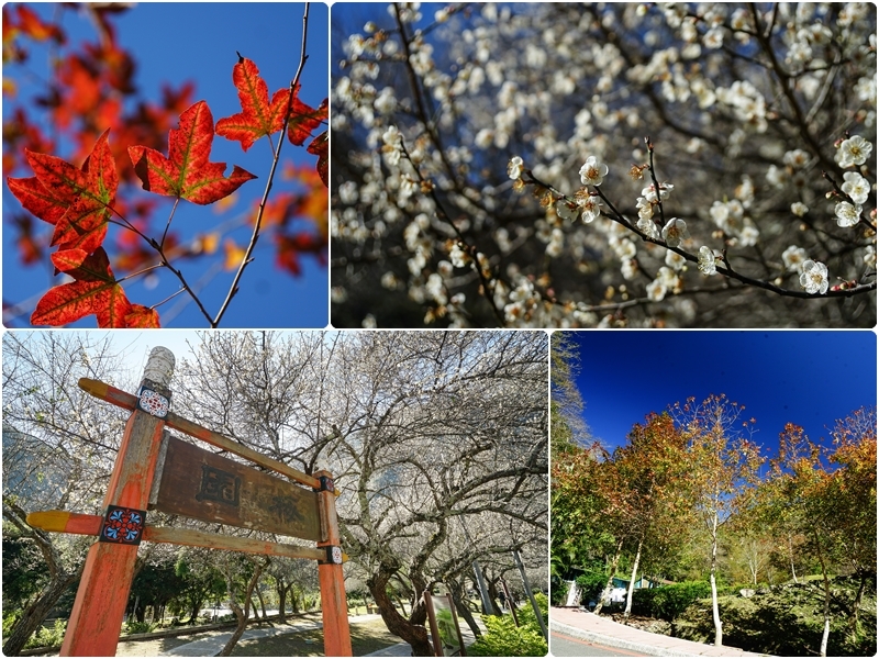 [花蓮景點]2019花蓮旅遊景點推薦 太魯閣、花東縱谷、台11線海邊IG熱門景點 花蓮私房景點懶人包