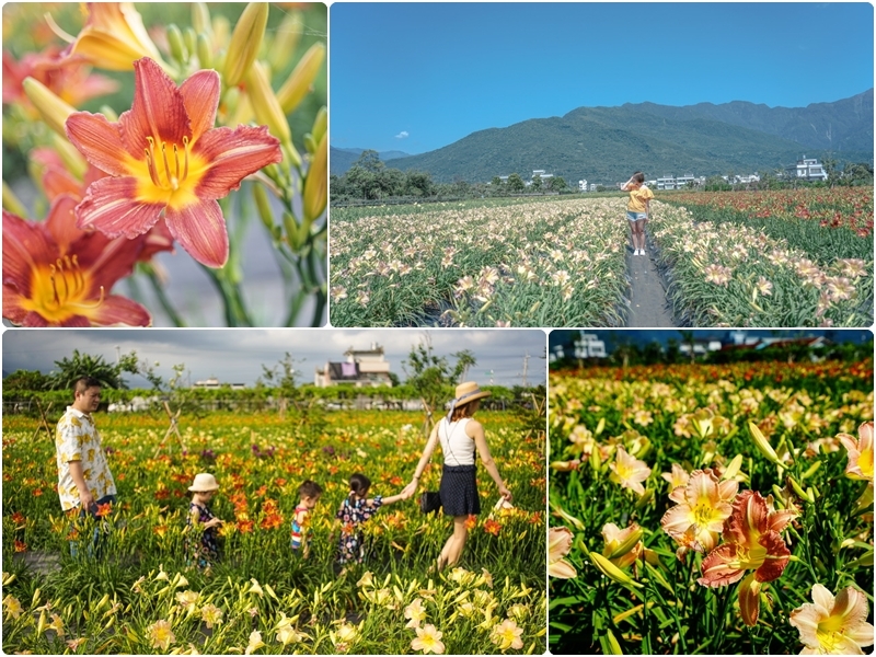 [花蓮景點]2019花蓮旅遊景點推薦 太魯閣、花東縱谷、台11線海邊IG熱門景點 花蓮私房景點懶人包