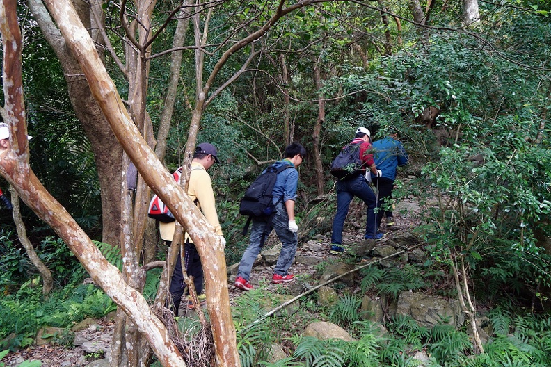 DSC08390.JPG