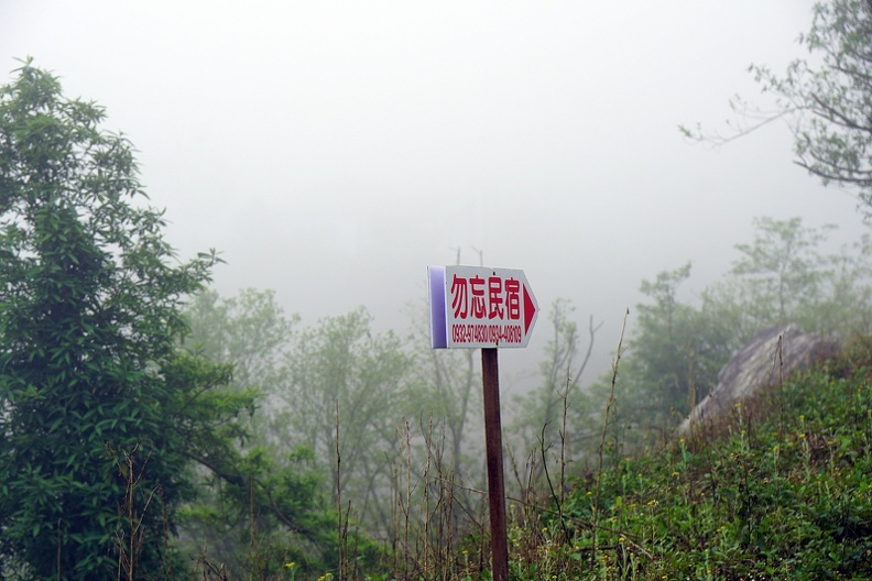 DSC08555.JPG
