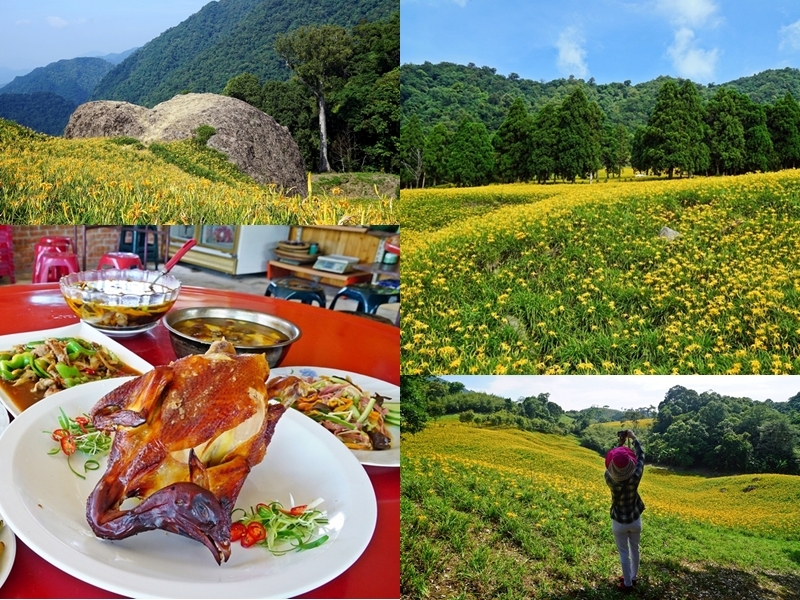 [花蓮玉里]赤柯山金針花大開 到處是花海 宛如金黃色地毯鋪滿山頭  森活家農莊超獨特&#8221;漫漫雞&#8221;一吃就愛上 馬上就想帶朋友再去吃啊!(1050824花況) @跳躍的宅男