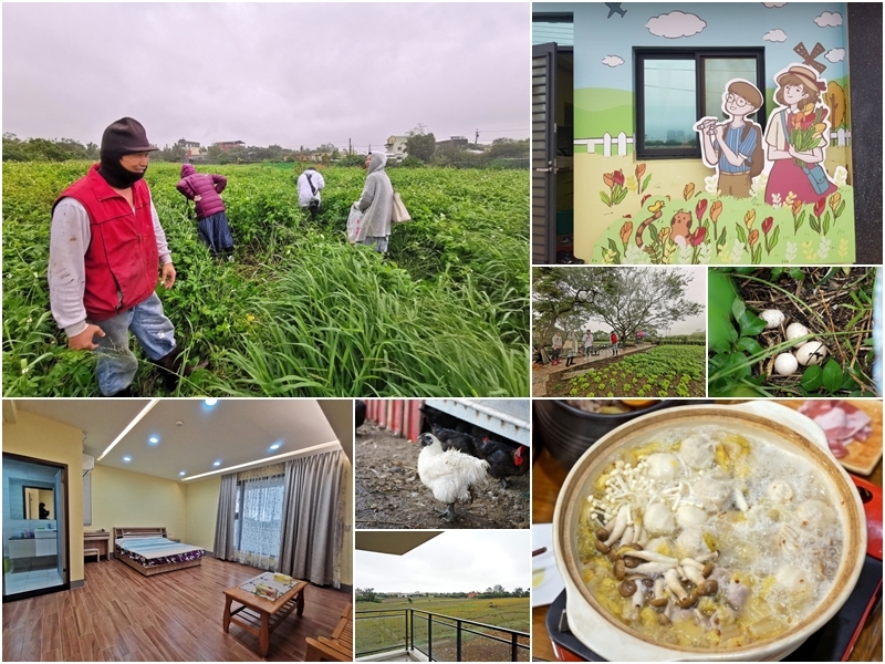 [桃園旅遊住宿]林園居民宿享用小農無菜單美食 還能享受挖地瓜農家趣 一級棒農場免費體驗撿雞蛋親子同樂 無農藥水野菜健康安心  桃園大園溪海休閒農業區 @跳躍的宅男