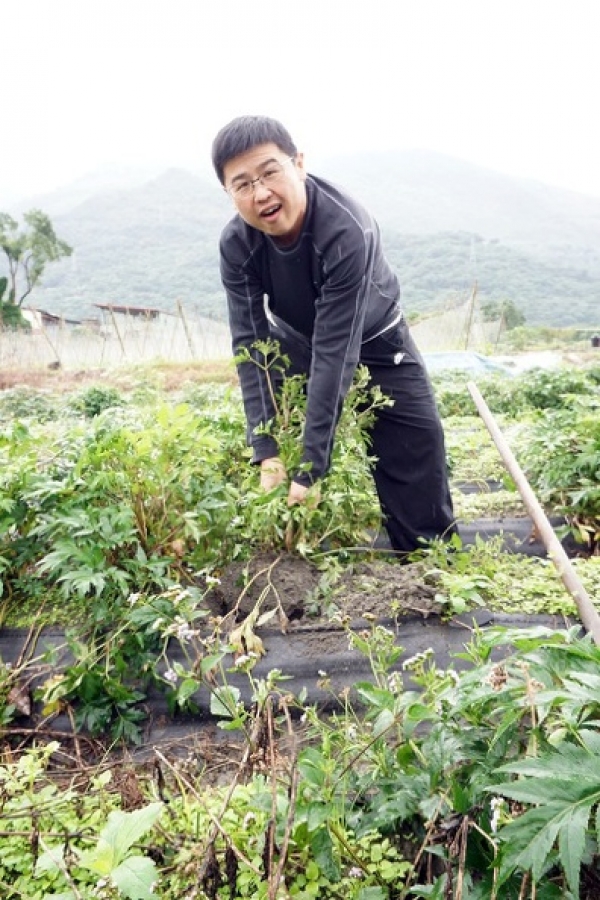 [團購]花蓮產日本新鮮當歸 (圓滿結束) @跳躍的宅男