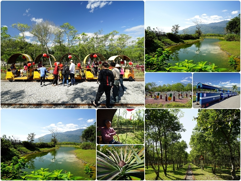 [花蓮瑞穗旅遊]富興森林公園 搭乘富興小火車遊憩森林與鳳梨田之間  整顆鳳梨刨冰好吃又有特色! @跳躍的宅男