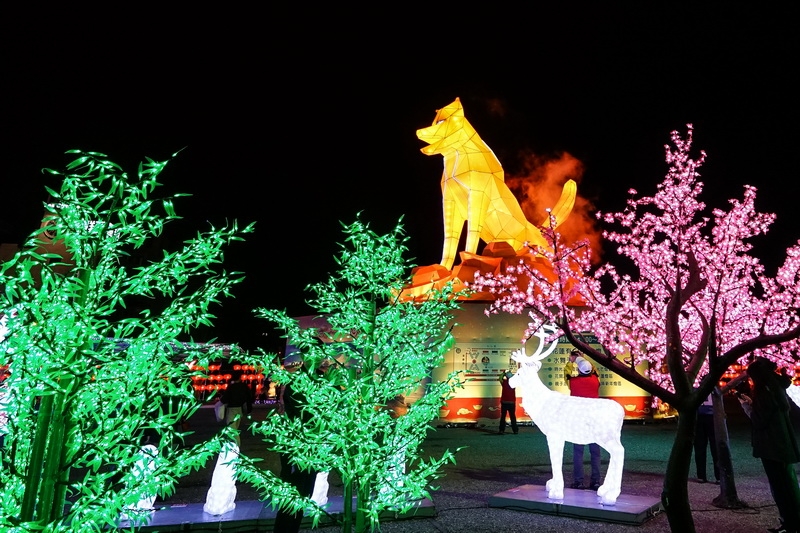 [花蓮過年活動]2018花蓮太平洋燈會就在六期燈區 璀璨水舞 東大門夜市 有的看又有得吃唷! @跳躍的宅男