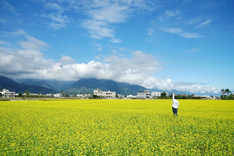 [花蓮景點]屬於花蓮季節限定美景 一望無際油菜花海 離花蓮市區半小時內就看得到 IG熱門打卡點 原來最美的景色就在我家後面 @跳躍的宅男